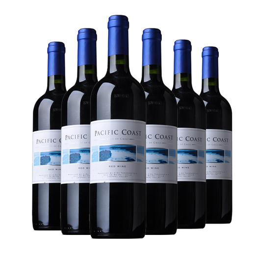 【百年荣耀 品价之选】智利红蔓庄园海岸干红葡萄酒 750ml*6 商品图0