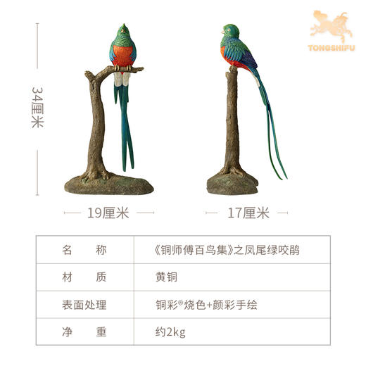 铜师傅 铜摆件《铜师傅百鸟集》之凤尾绿咬鹃  铜工艺品 家居饰品摆件 商品图5