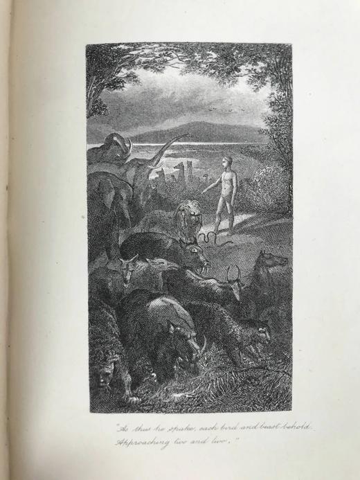 约19世纪后期 弥尔顿诗集 约7幅版画插图 全真皮精装32开 商品图9