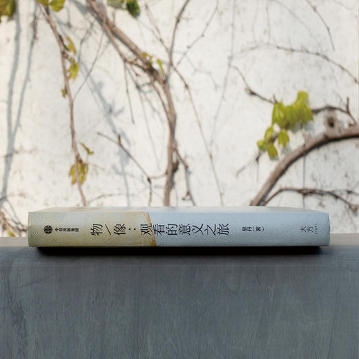 物 像 观看的意义之旅 易丹 著 艺术 商品图3