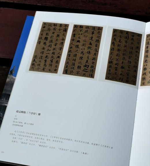 《大都：元代北京城》，平装，16开，铜版彩印，中国大运河博物馆编，上海雅昌精印，318页，江苏凤凰文艺出版社2023年5月一版一印，定价328，售价246元。 商品图13