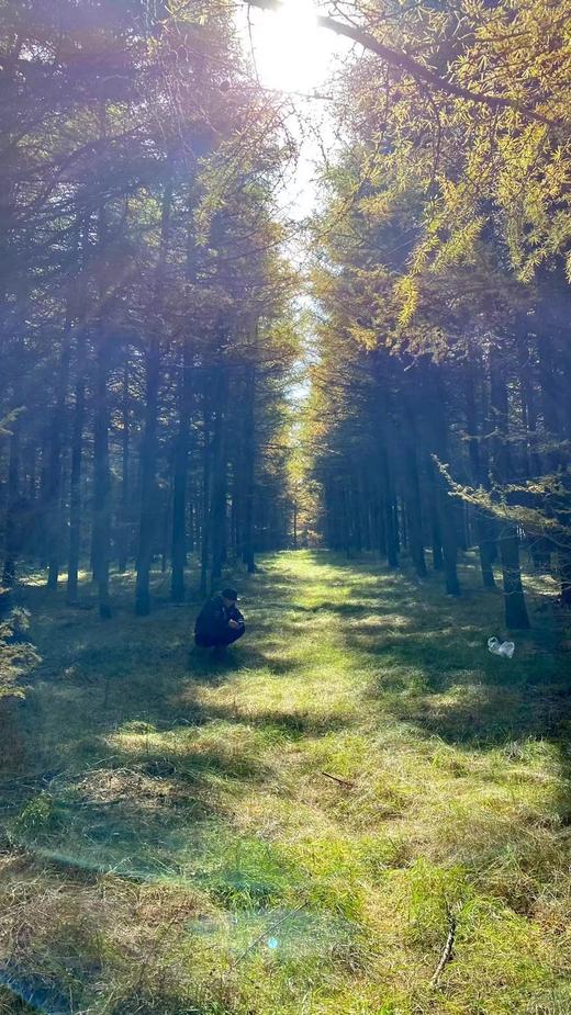 端午玉石梁自然教育与艺术研学 商品图1