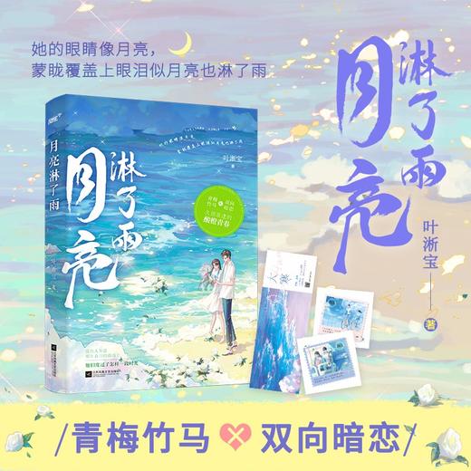 月亮淋了雨 商品图0