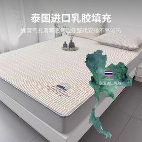 [入夏爆款 床笠款]泰国皇家Royal latex天然乳胶床笠款凉席三件套