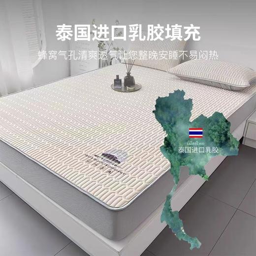 [入夏爆款 床笠款]泰国皇家Royal latex天然乳胶床笠款凉席三件套 商品图0