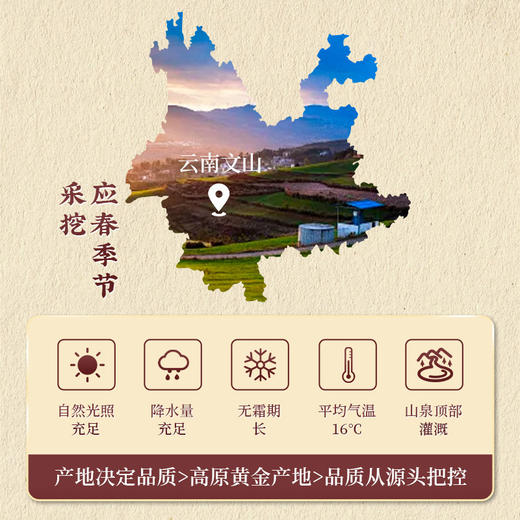 国药药材 三七粉云南文山原产地种植 255g/罐 商品图2