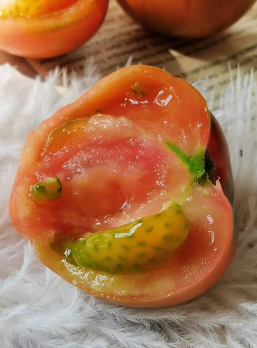 辽宁盘锦铁皮脆柿儿时口味不变  顺丰包邮个别地区加5元运费 商品图0