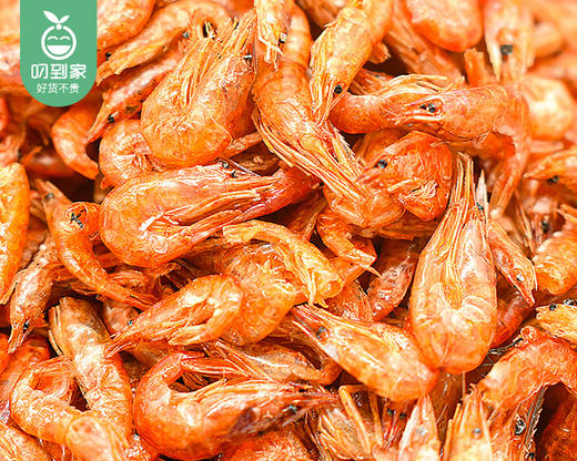 漳浦活冻小河虾/1份（约250g） 商品图3
