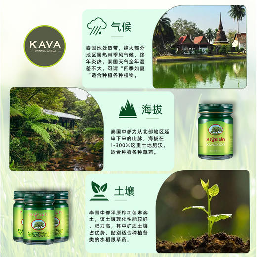 【原装进口】泰国KAVAGOOD卡瓦库德青草膏1盒（15g*3） 商品图6