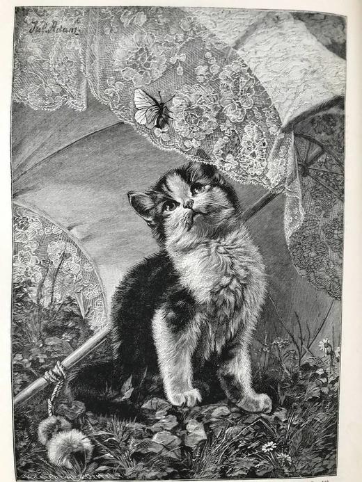 1893年 家庭箴言杂志 约百幅插图 漆布精装16开 商品图11