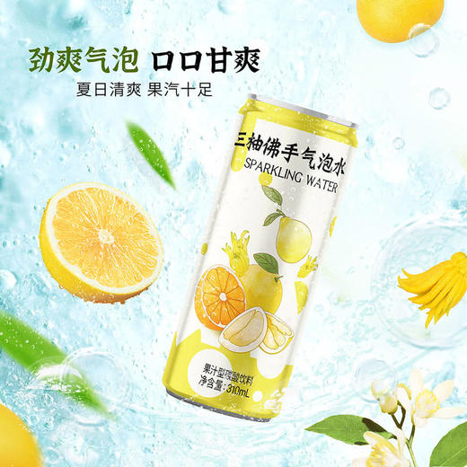 MM 山姆 DRINKSBA三柚佛手气泡水 310ml*20 商品图2