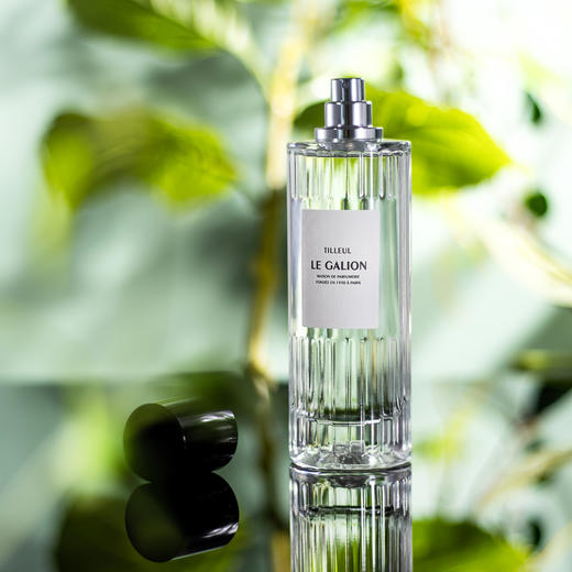 乐加利恩 椴树盈株 Le Galion Tilleul 分装 商品图5