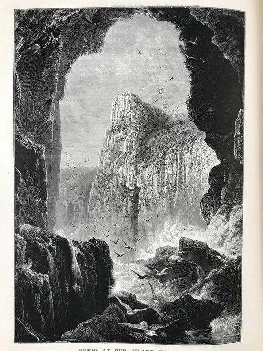 1893年 家庭箴言杂志 约百幅插图 漆布精装16开 商品图13