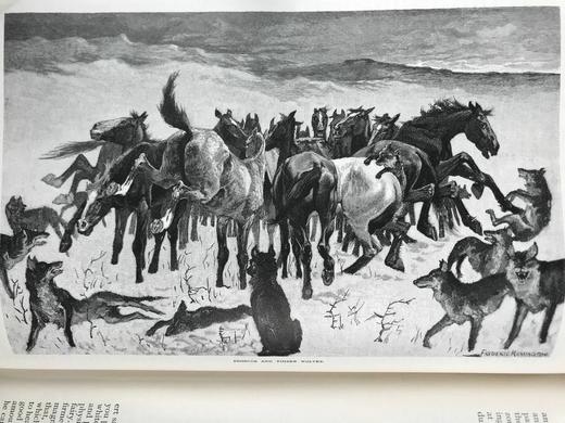 1888年11月-1889年4月 世纪杂志 数百幅插图 漆布精装16开 商品图10