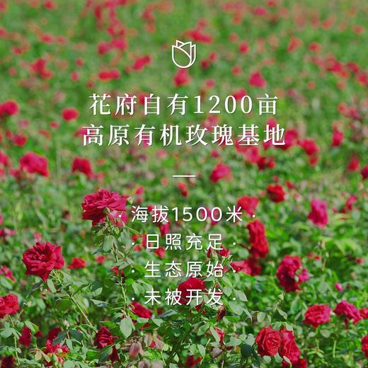花府程玫有机冻干玫瑰花朵30g 商品图4
