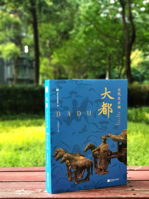 《大都：元代北京城》，平装，16开，铜版彩印，中国大运河博物馆编，上海雅昌精印，318页，江苏凤凰文艺出版社2023年5月一版一印，定价328，售价246元。 商品图0