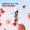 MM 山姆 DRINKSBA杨梅洛神气泡水 310ml*20 商品缩略图3