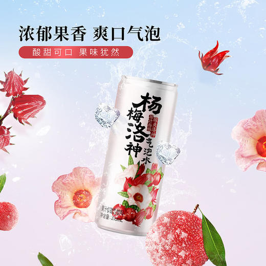 MM 山姆 DRINKSBA杨梅洛神气泡水 310ml*20 商品图3