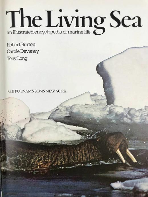 海洋生命图解指南 数百幅彩色插图 精装大16开 商品图2