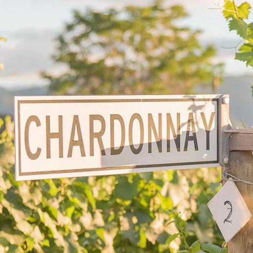 【5.27 武康门票 Wukang Ticket】百变霞多丽，开启夏日露台季大型品鉴会 Kicking off Terrace Season with Chardonnay Grand Tasting 商品图0