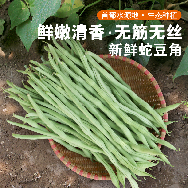 每日现摘  农家种植蛇豆角  口感紧实  适合煸炒  豆角  400g