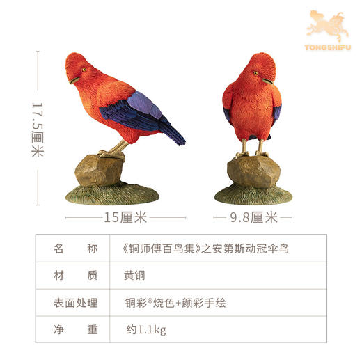 铜师傅 铜摆件《铜师傅百鸟集》之安第斯动冠伞鸟 铜工艺品 家居饰品摆件 商品图4