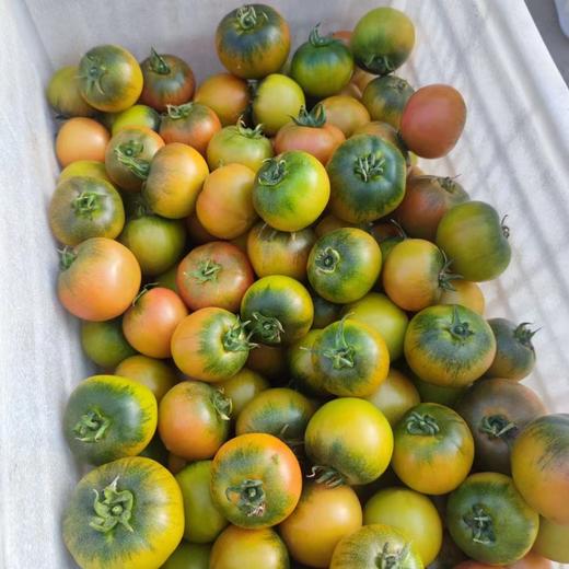 辽宁盘锦铁皮脆柿儿时口味不变  顺丰包邮个别地区加5元运费 商品图5