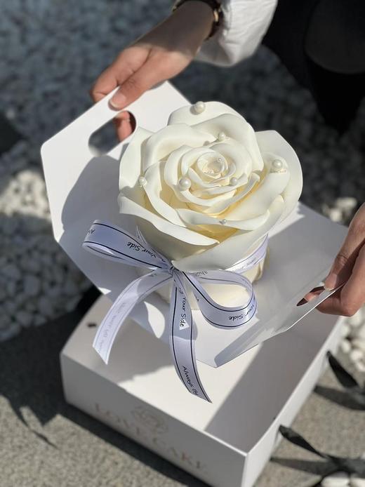 {芬德拉玫瑰} 商品图0