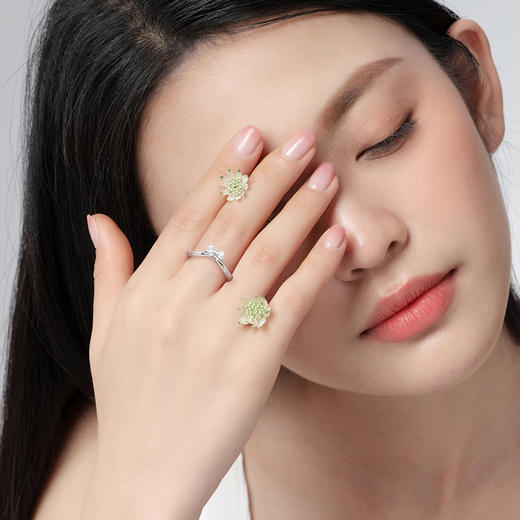 【公主梦戒指】Fanci范琦情侣款对戒 精美包装+顺丰包邮+赠运费险 商品图6