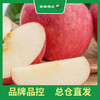 PAGODA百果园 东方红苹果9粒礼盒装（单果重约250g，净重4.5斤） 商品缩略图1