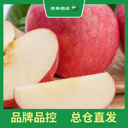 PAGODA百果园 东方红苹果9粒礼盒装（单果重约250g，净重4.5斤） 商品图1