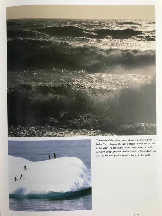 海洋生命图集 数百幅彩色插图 平装大16开 商品图11