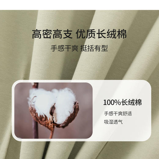 IN AND ON53243夏短袖女纯色t恤100%长绒棉宽松休闲廓形纸片人圆领上衣 商品图4