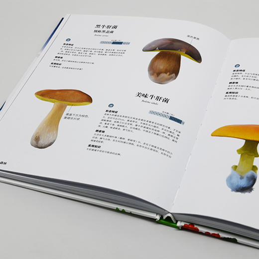 我的第一堂自然课：奇妙的探索之旅 商品图4