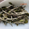 福鼎白茶 | 小城之春 磻溪黄六坪核心产区 一级白牡丹 叶上珠 50g 商品缩略图3