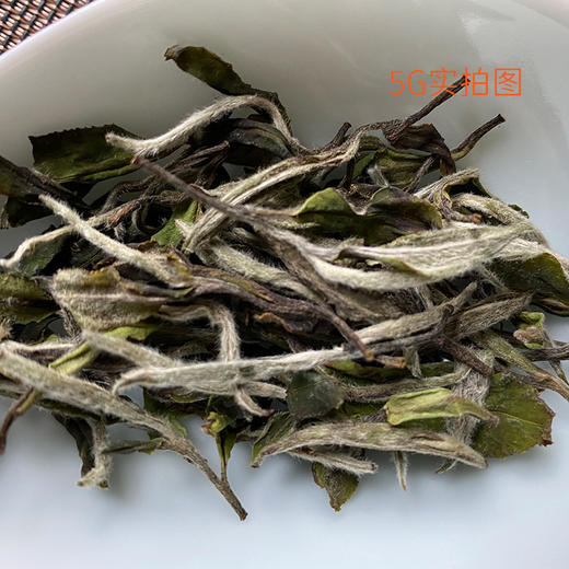 福鼎白茶 | 小城之春 磻溪黄六坪核心产区 一级白牡丹 叶上珠 50g 商品图3