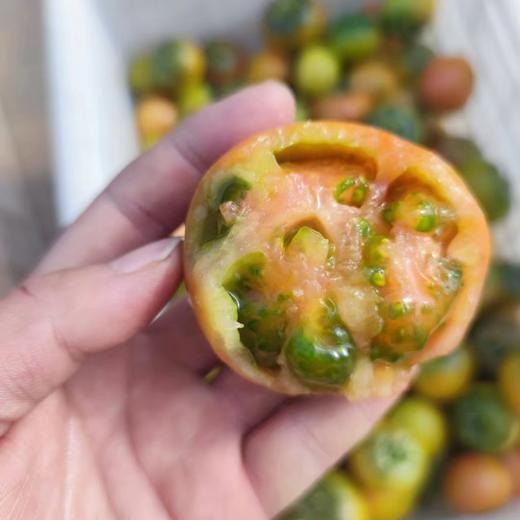 辽宁盘锦铁皮脆柿儿时口味不变  顺丰包邮个别地区加5元运费 商品图4