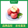 PAGODA百果园 东方红苹果9粒礼盒装（单果重约250g，净重4.5斤） 商品缩略图0