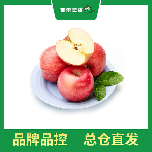 PAGODA百果园 东方红苹果9粒礼盒装（单果重约250g，净重4.5斤） 商品图0