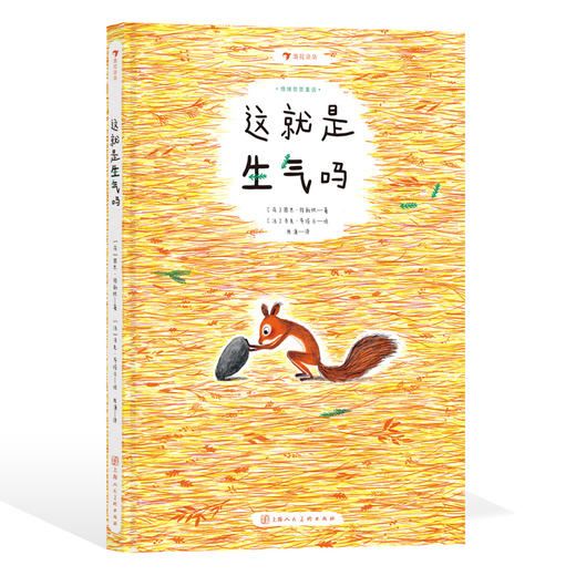 《这就是生气吗》 商品图2