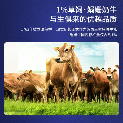 风车牧场 4.5g高钙 草饲娟姗特优纯牛奶 全脂荷兰原装进口 商品图2