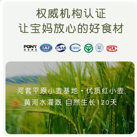 塞北粮仓慢面粉2.5kg 内蒙正宗河套平原家用中筋无添加小麦面粉 商品图1