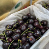 【艺树家】艺树家，俄8黑珍珠樱桃，国内最佳樱桃品种，口感甜浓不单调有回味，有幸福感！ 商品缩略图1
