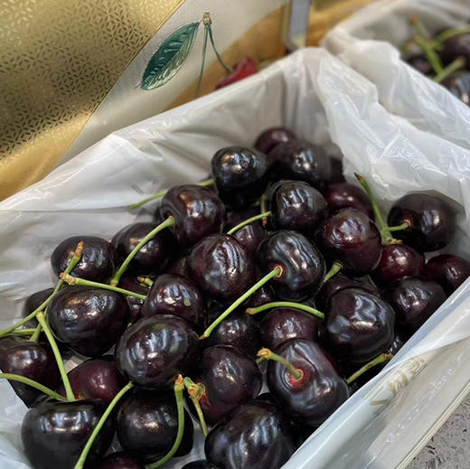 【艺树家】艺树家，俄8黑珍珠樱桃，国内最佳樱桃品种，口感甜浓不单调有回味，有幸福感！ 商品图1