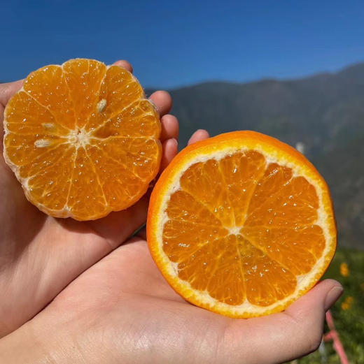 产地直邮-云南高原虎柑 家庭装/礼盒装 纯甜多汁 现摘发货～ 商品图5