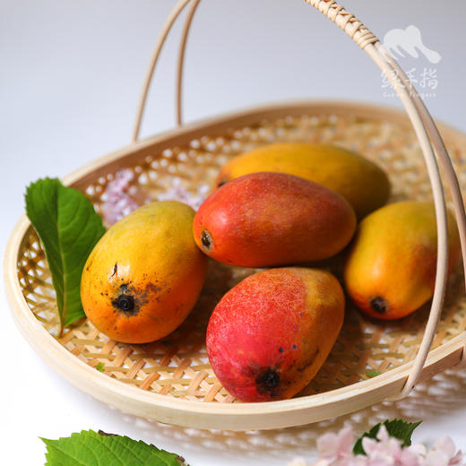 生态元江芒果 | 合作生产 *Eco-mango | Coproduction 商品图3