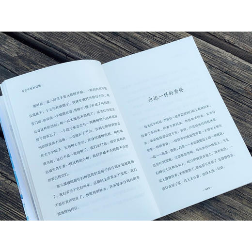 刘亮程 大自然牧歌系列 共5册 6-12岁 刘亮程 著 儿童文学 商品图2