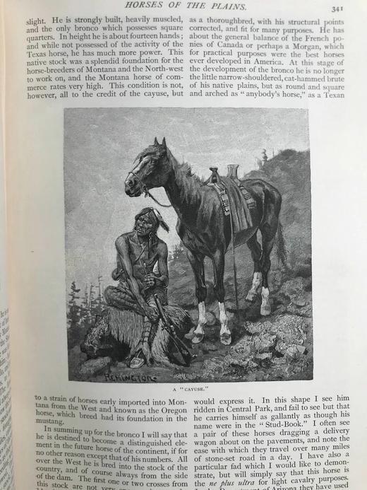 1888年11月-1889年4月 世纪杂志 数百幅插图 漆布精装16开 商品图8