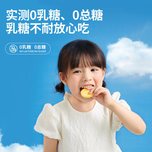 小圆奶酪（低盐高钙）75g 商品图4