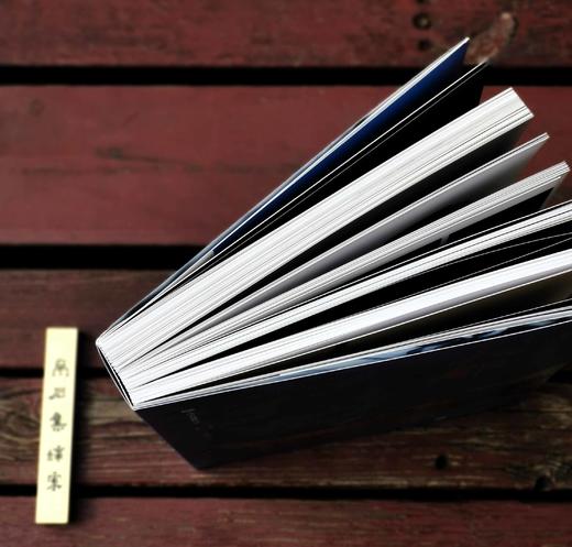 《大都：元代北京城》，平装，16开，铜版彩印，中国大运河博物馆编，上海雅昌精印，318页，江苏凤凰文艺出版社2023年5月一版一印，定价328，售价246元。 商品图3